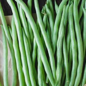 Blue Lake Beans