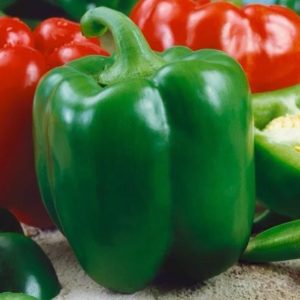 Bell Pepper